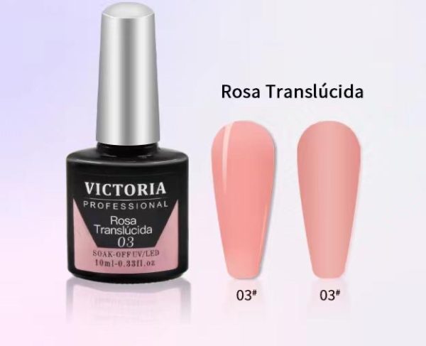 Rosa translúcido 03