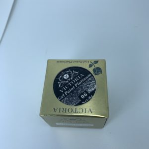 Gel Paint Platinum 06