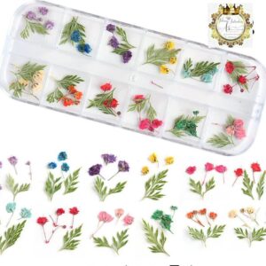 Caja de naturaleza muerta 1521